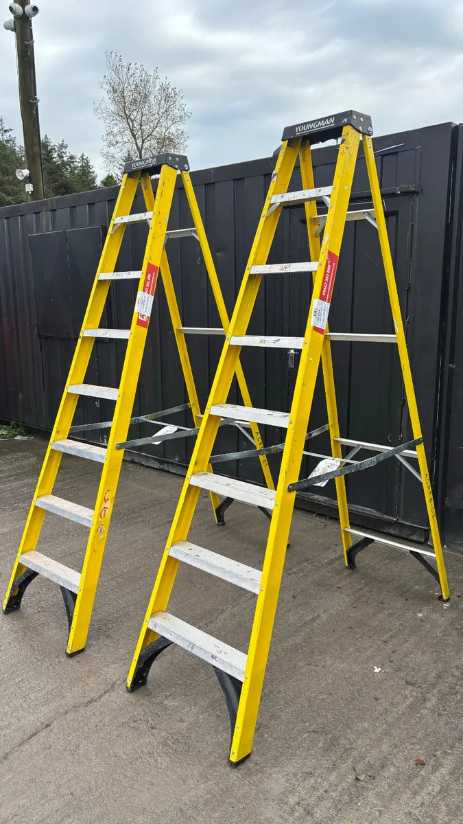 Choice of Ladders - Image 2