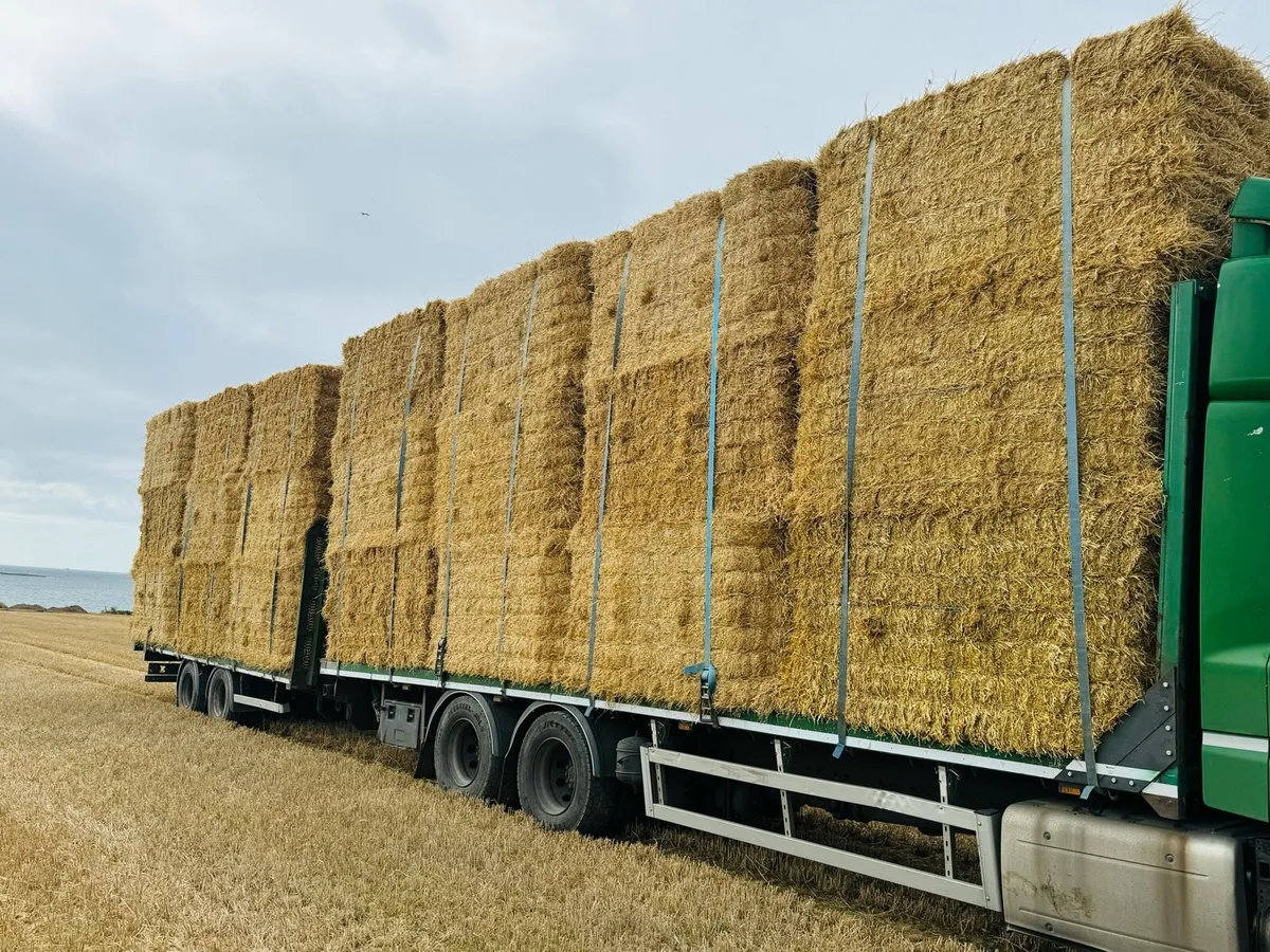 2026 – Hay – Straw  – Rounds & Square - Image 1