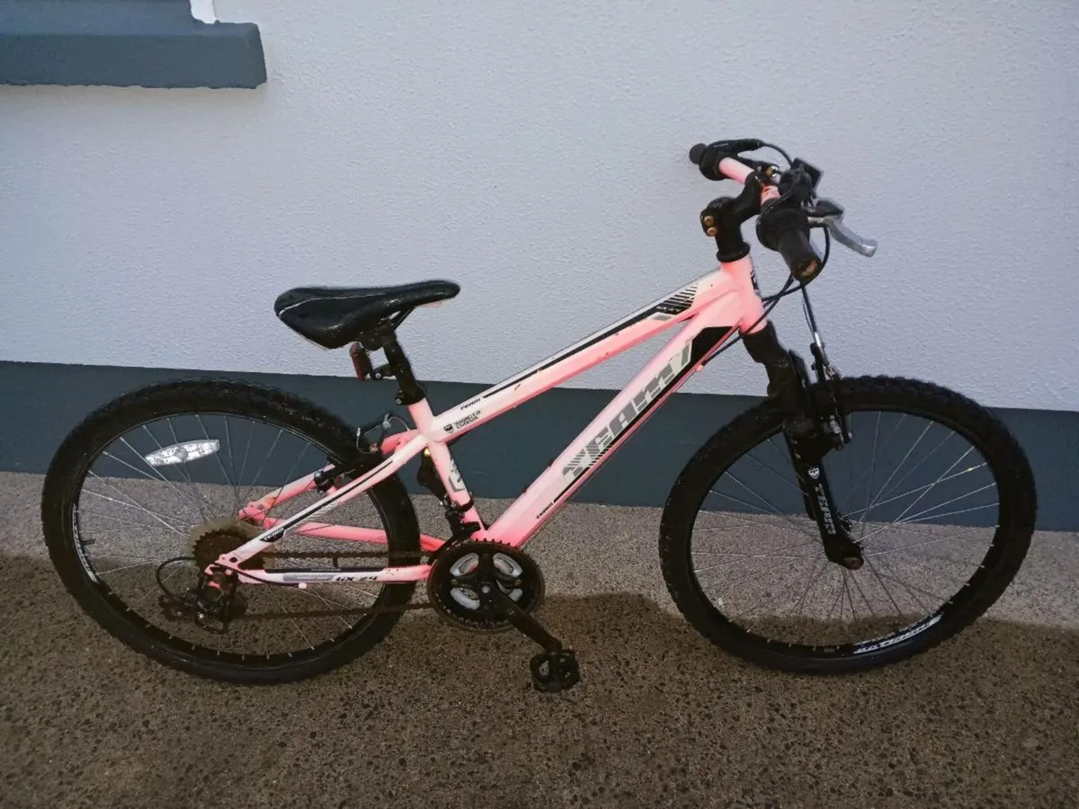 Girls & boys bicycle - Image 2