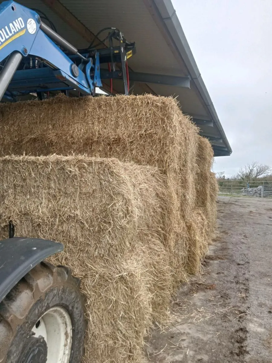Hay  and straw  silage delivered - Image 2