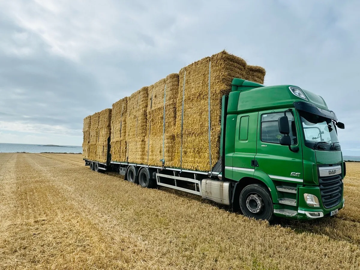 2025 Straw & Hay  . Rounds & Large Squares - Image 4