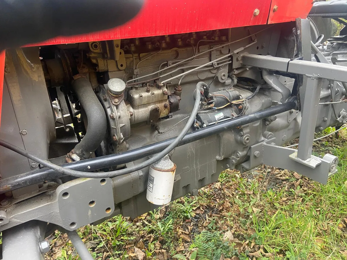 Massey ferguson 290 - Image 4