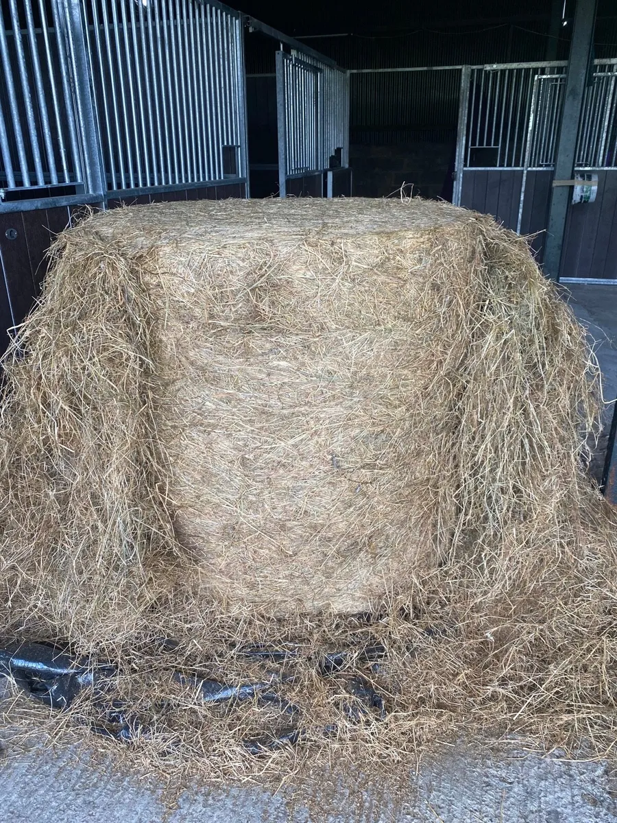 Haylage - Image 2