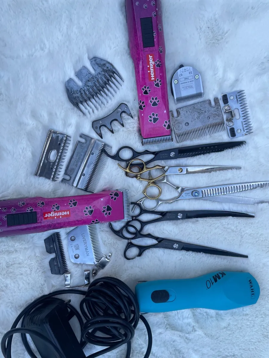 clipper blade sharpening - Image 2