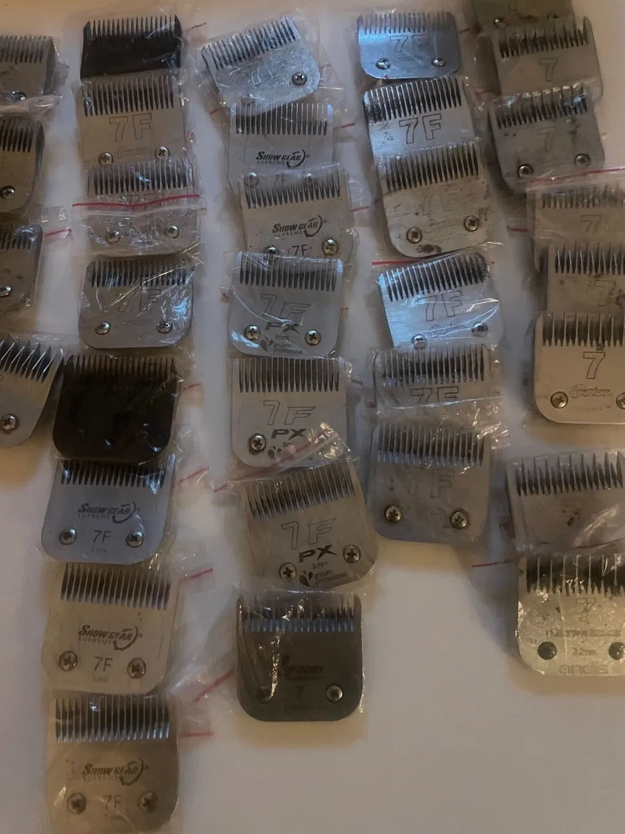 clipper blade sharpening - Image 3