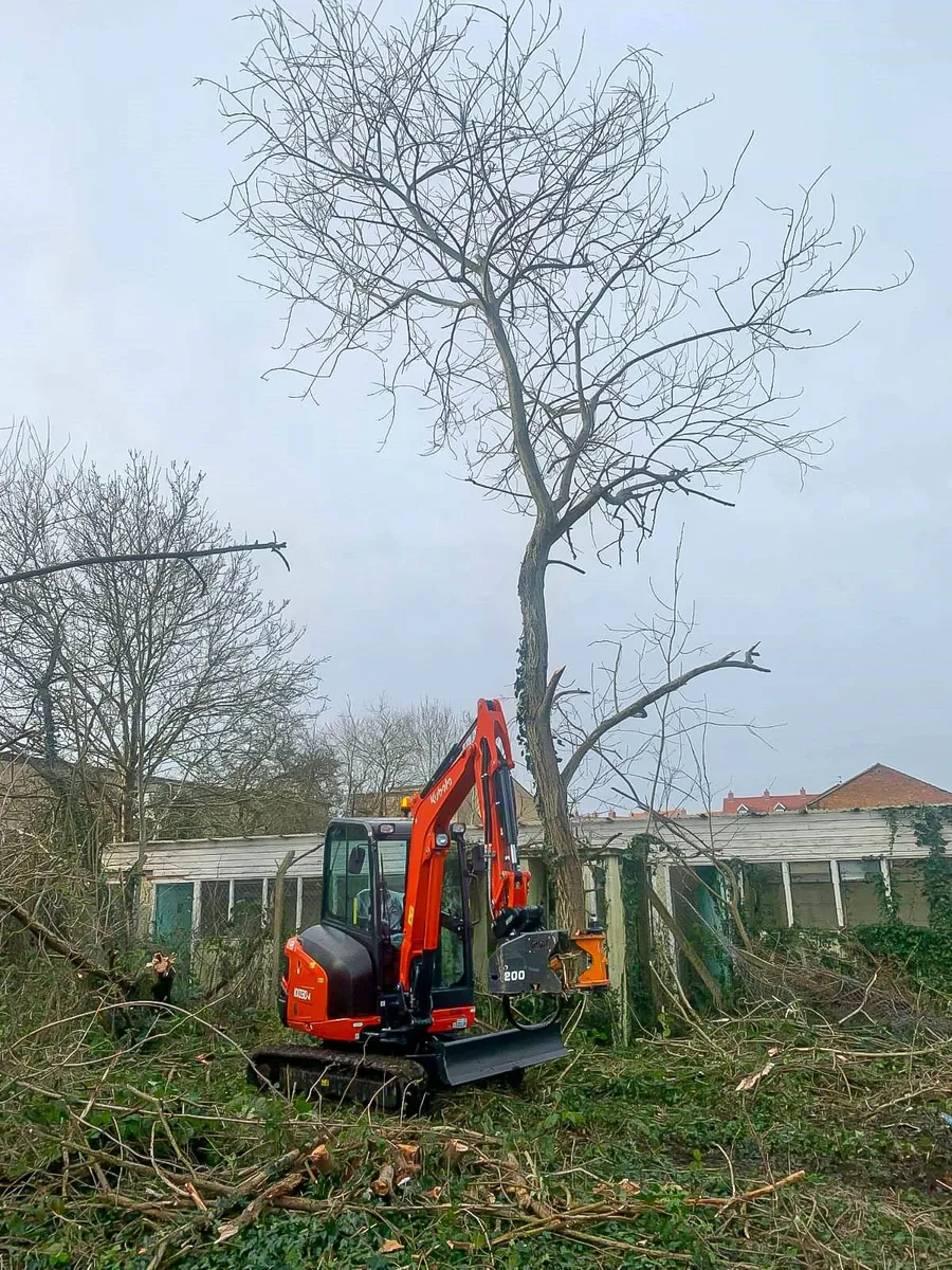 MDE Koala 200 Tree Shear - Image 4