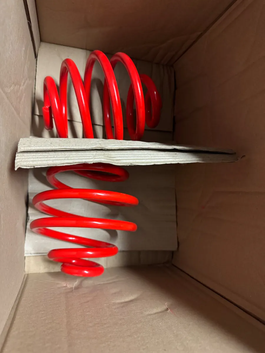 Corsa 60 rear springs