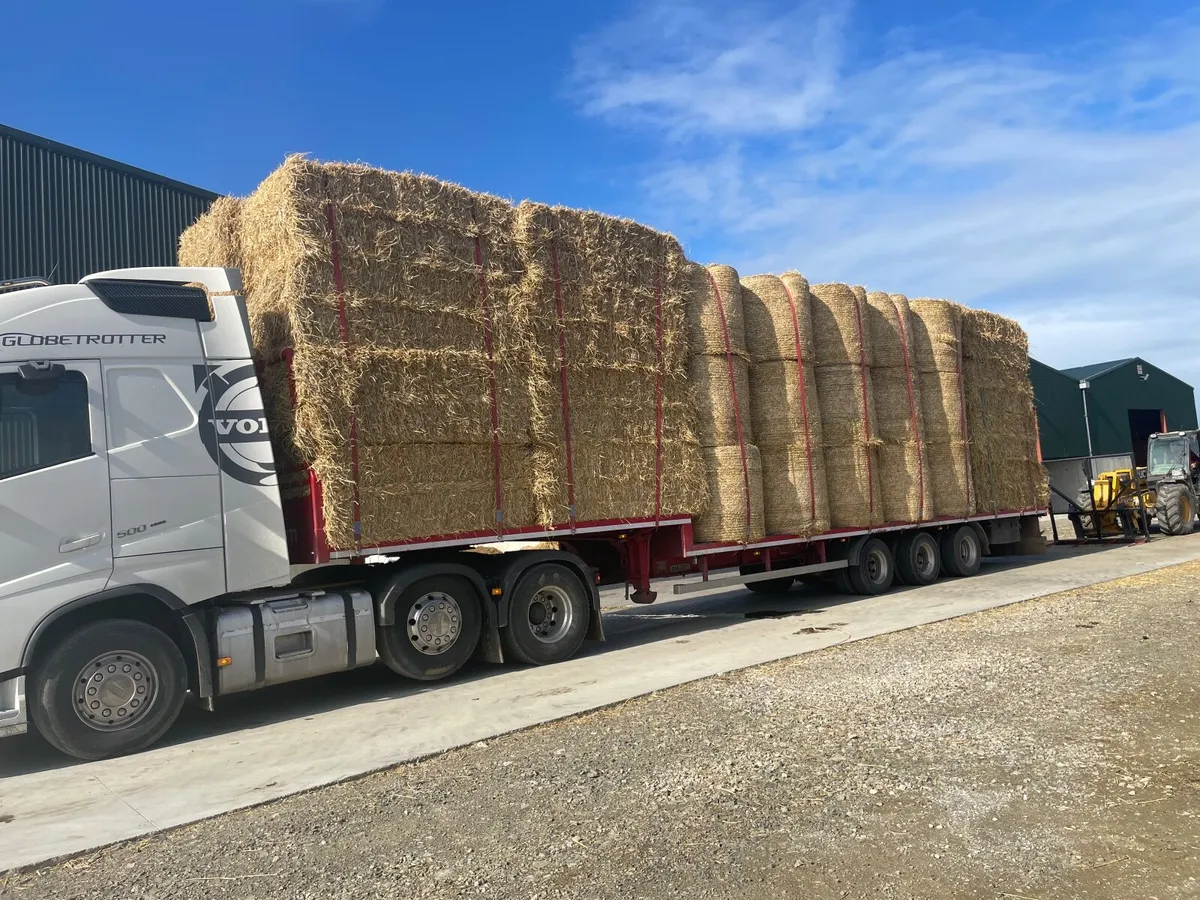 Collection and Delivery of Hay & Straw - Image 2