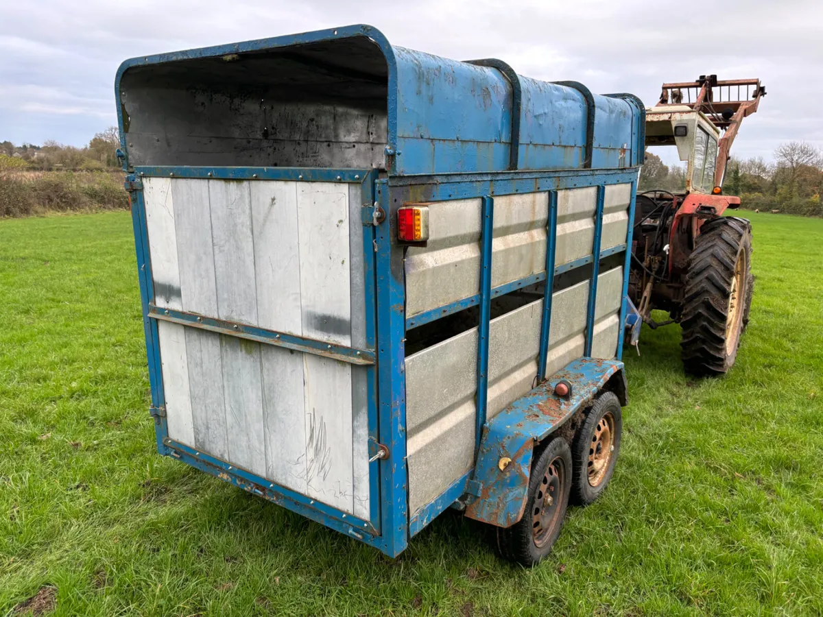 8ft box cow trailer - Image 1