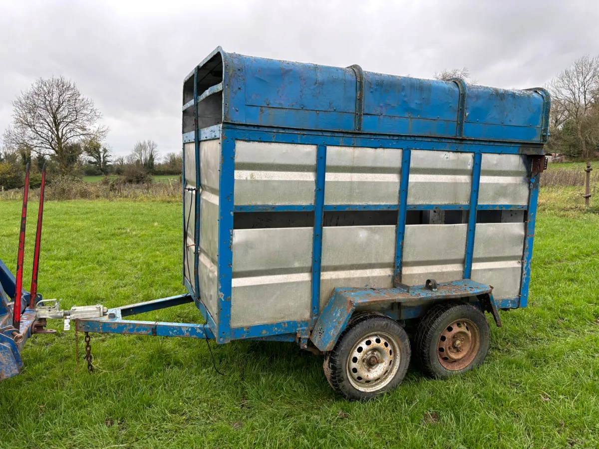 8ft box cow trailer - Image 2