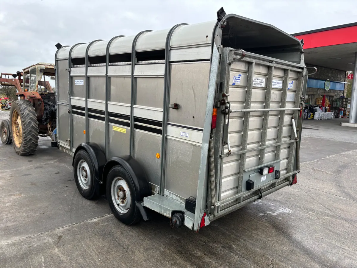 ifor williams ta510 12ft with sheep decks - Image 2
