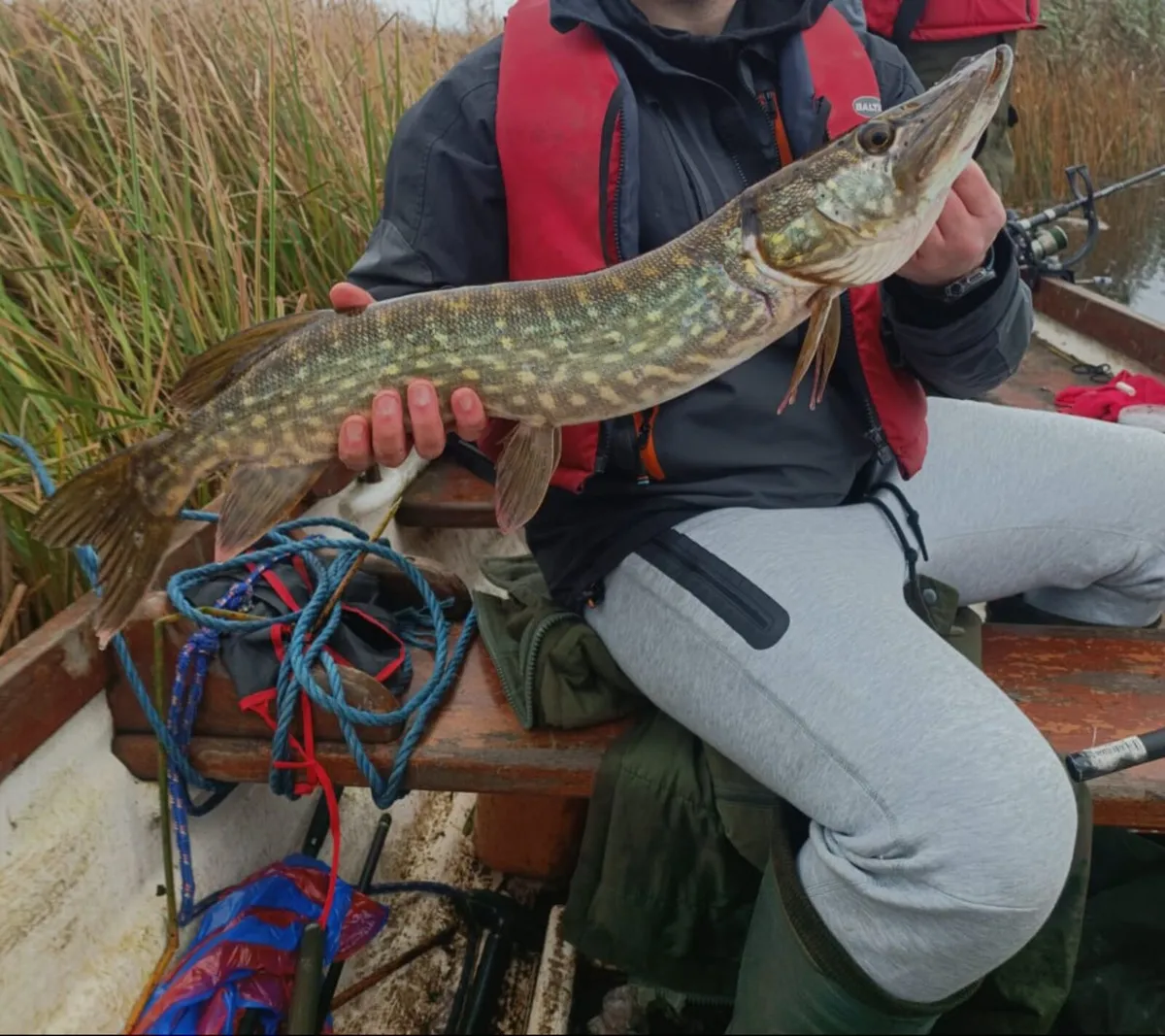 Boat Hire Pike Fishing   €80.00 - Image 4