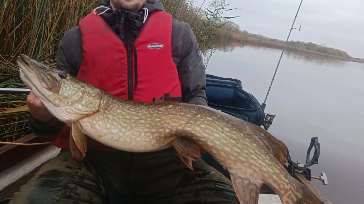 Boat Hire Pike Fishing   €80.00 - Image 2