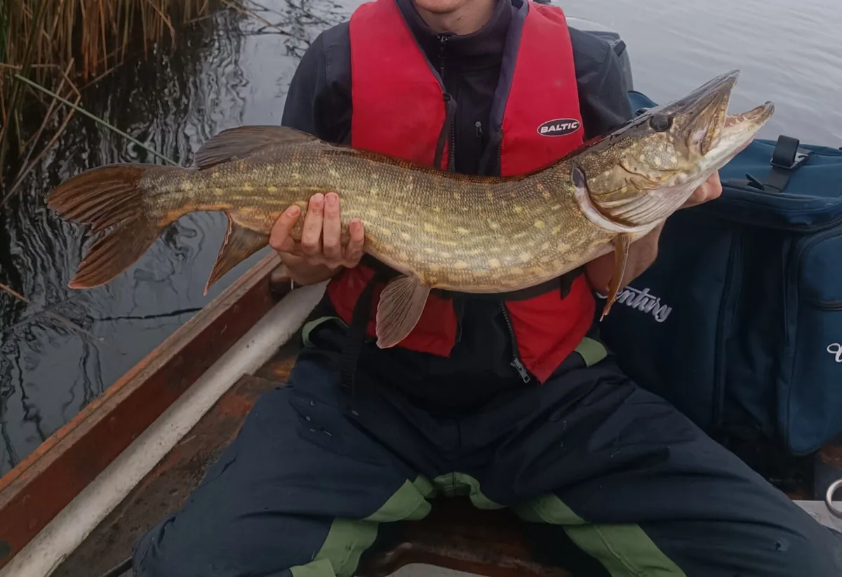Boat Hire Pike Fishing   €80.00 - Image 3