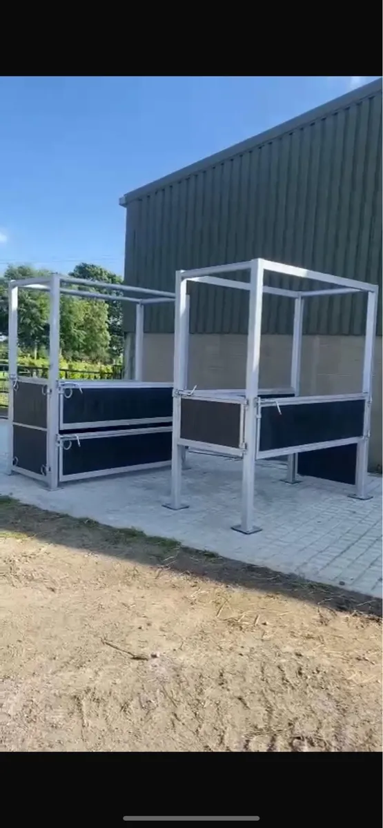 Equine stocks Crush - Image 2