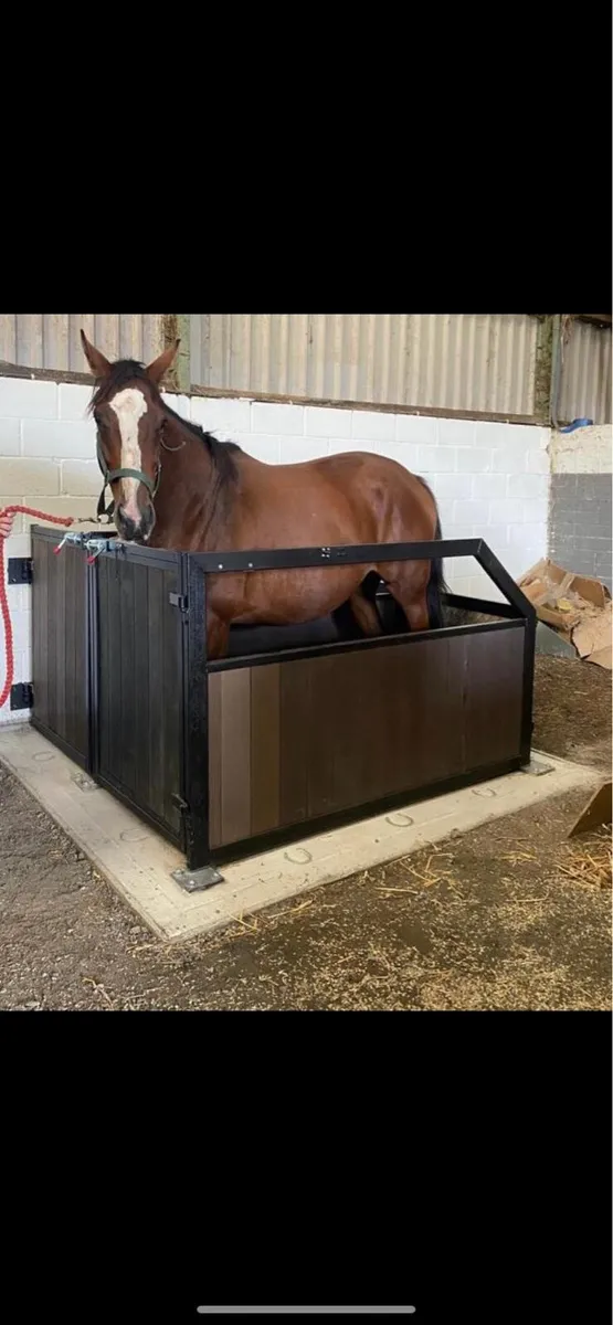 Equine stocks Crush - Image 3