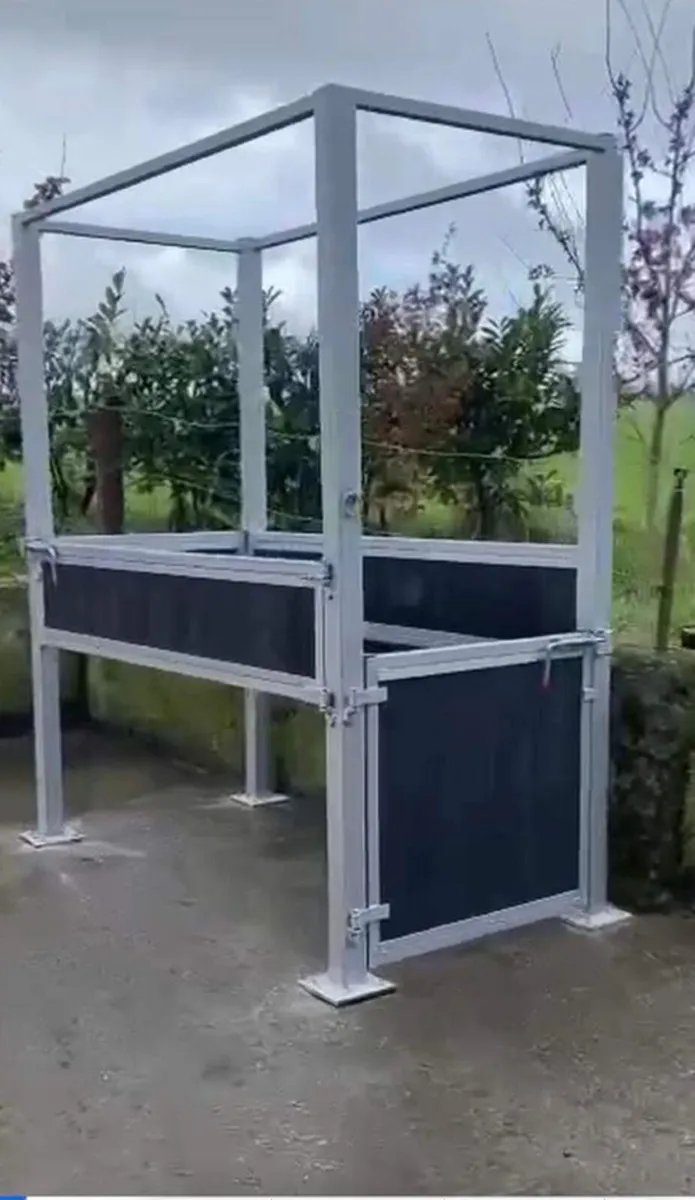 Equine stocks Crush - Image 4