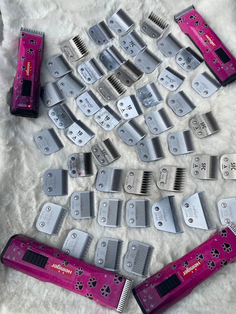 Clipper blades sharpening - Image 4