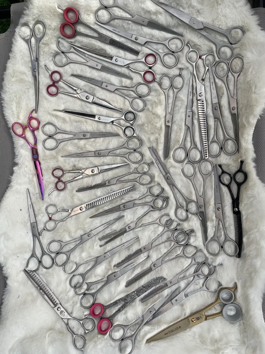 Clipper blades sharpening - Image 2