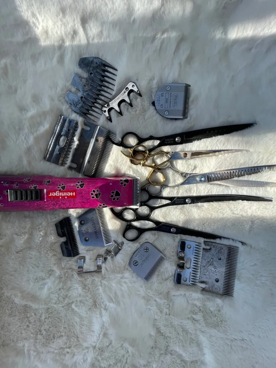 Clipper blades sharpening - Image 3