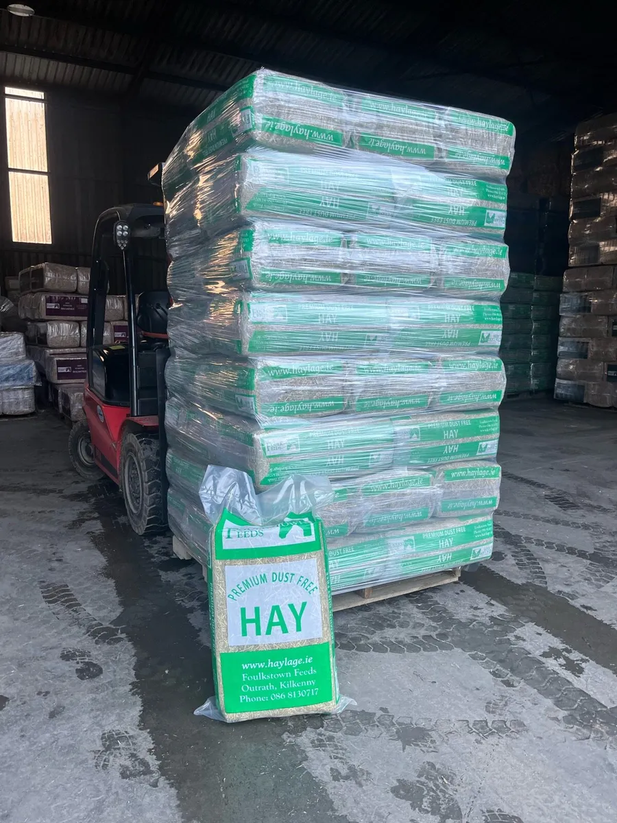 Premium dust free hay. - Image 2