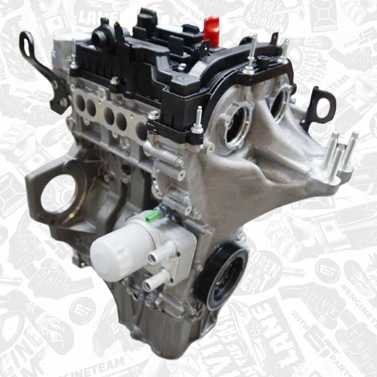 Ford 1,0  EcoBoost  Brand New Engine - Image 3