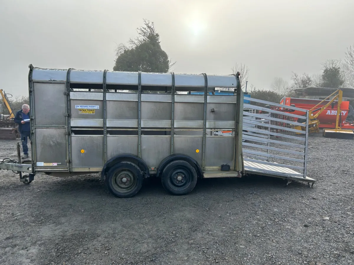 Ifor Williams 12x5 9 Cattle Trailer - Image 4