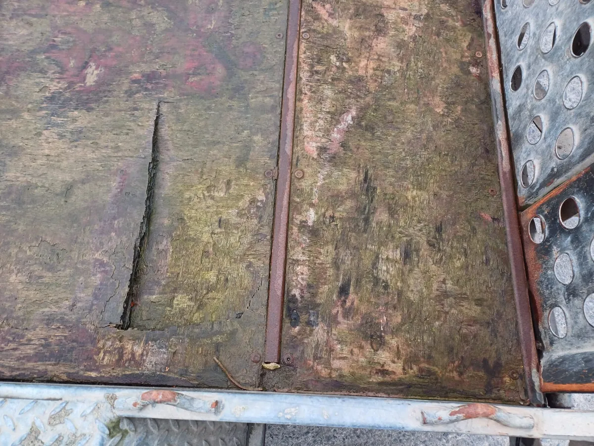 Ifor Williams Plant Trailer - Image 3