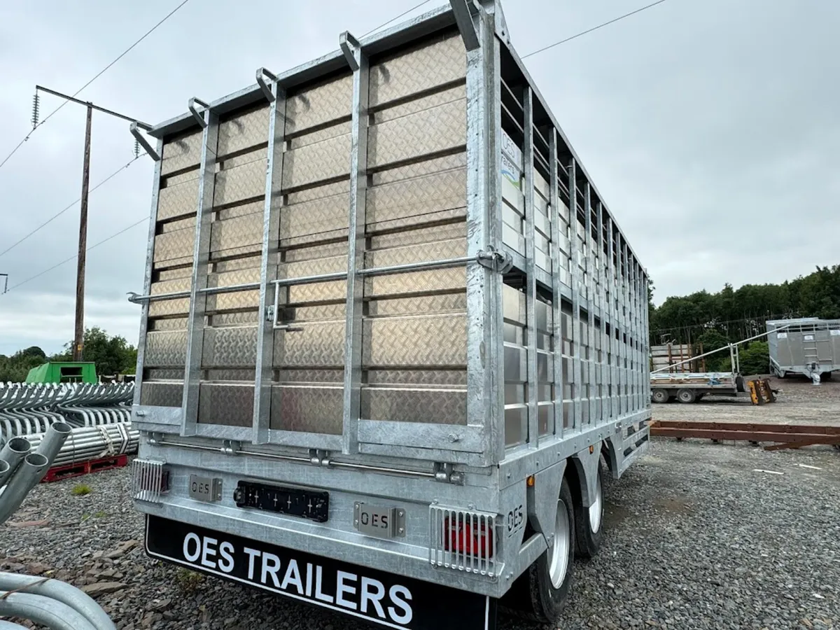 New OES 20ft Livestock Trailer - Image 3