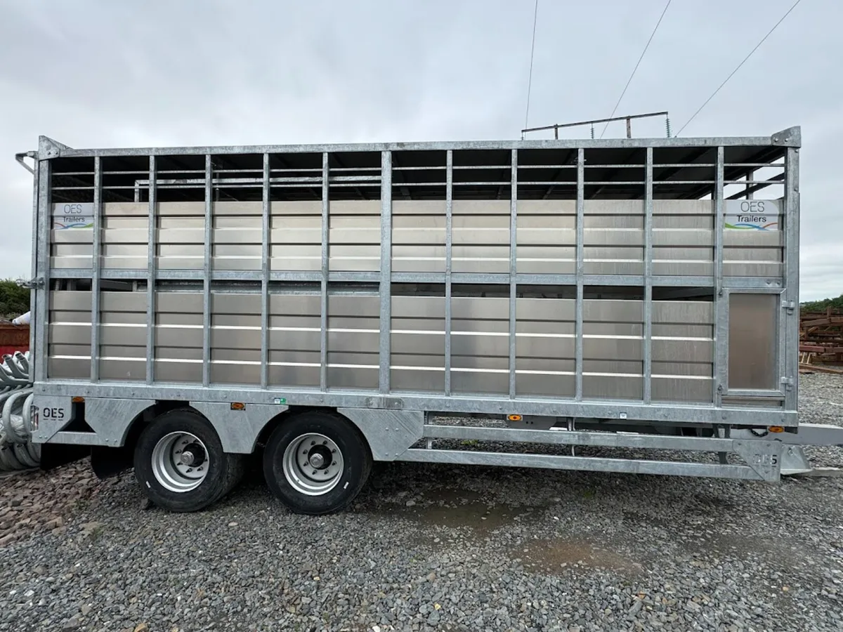 New OES 20ft Livestock Trailer - Image 4