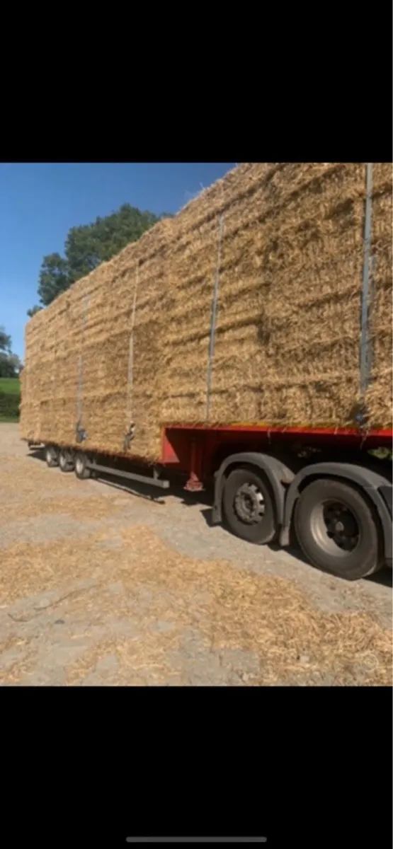 ➖STRAW ➖ - Image 4