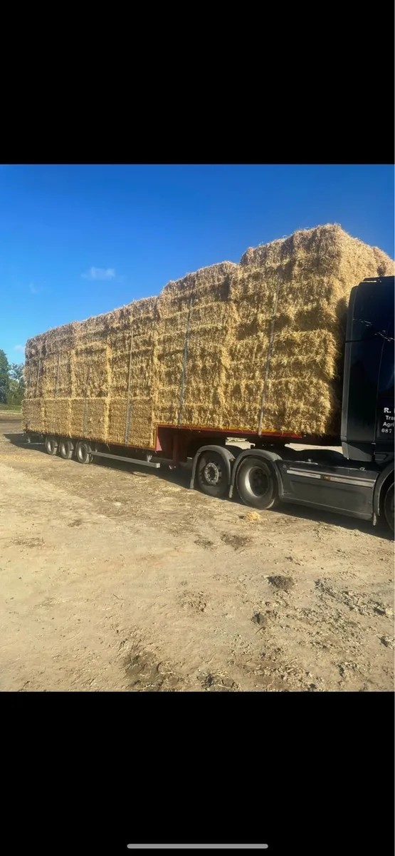 ➖STRAW ➖ - Image 3