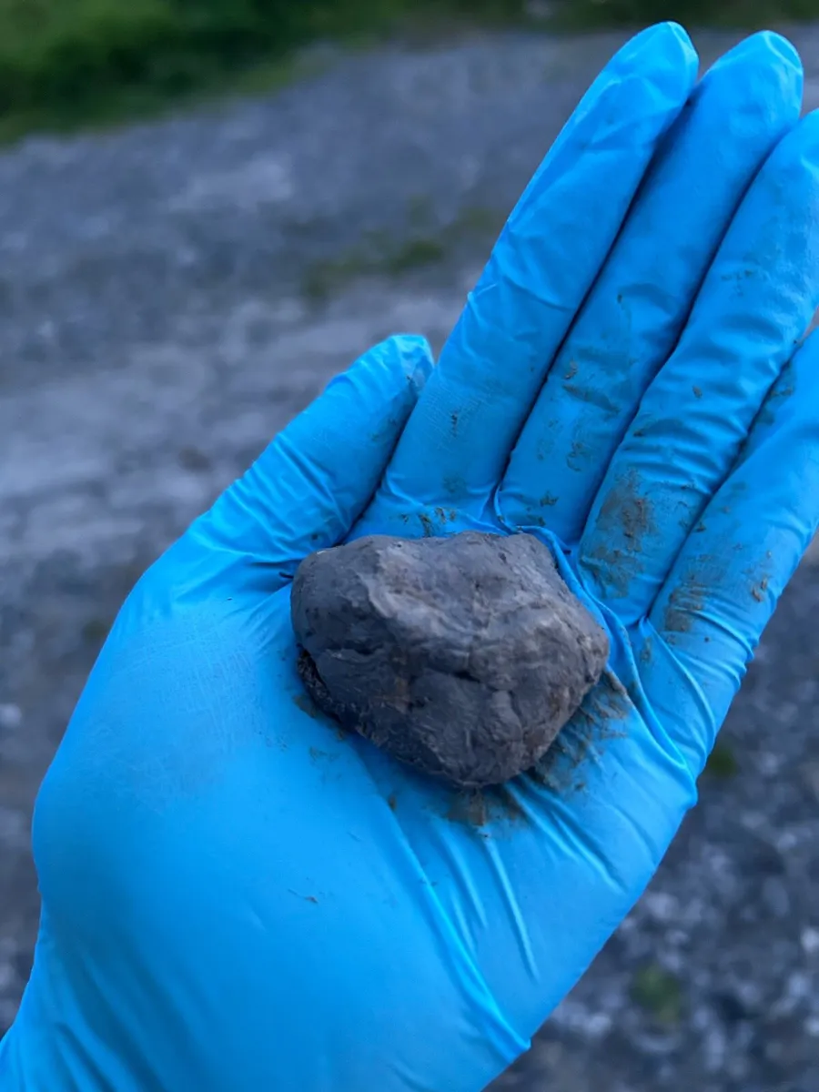 Sheath Cleaning Service - Image 4