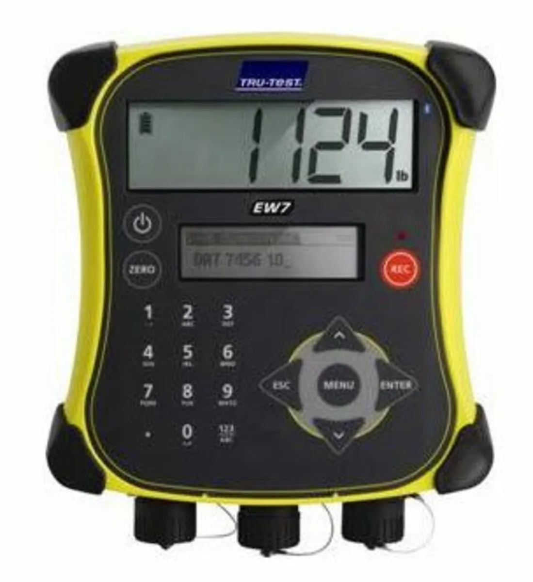 Horse scales, Cattle scale - Image 4