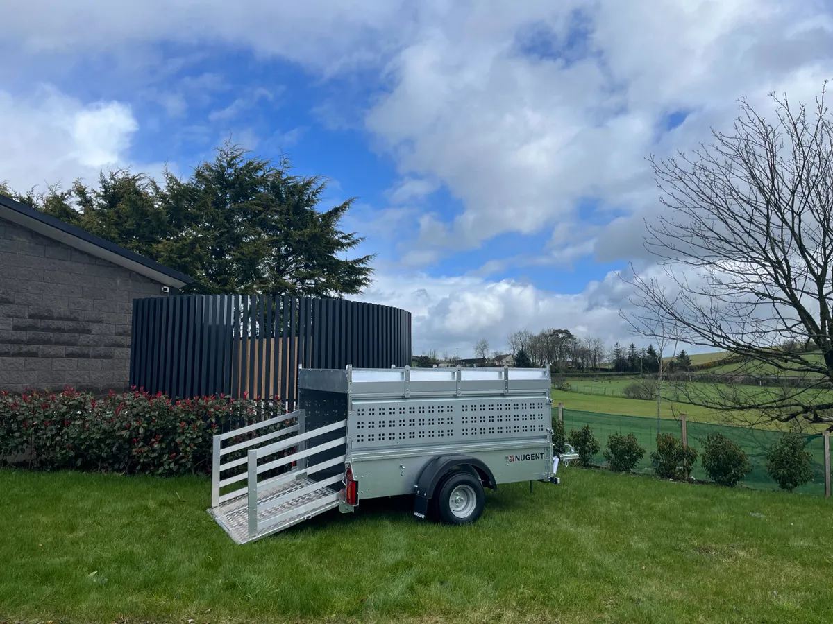 Quad Trailer - Image 3