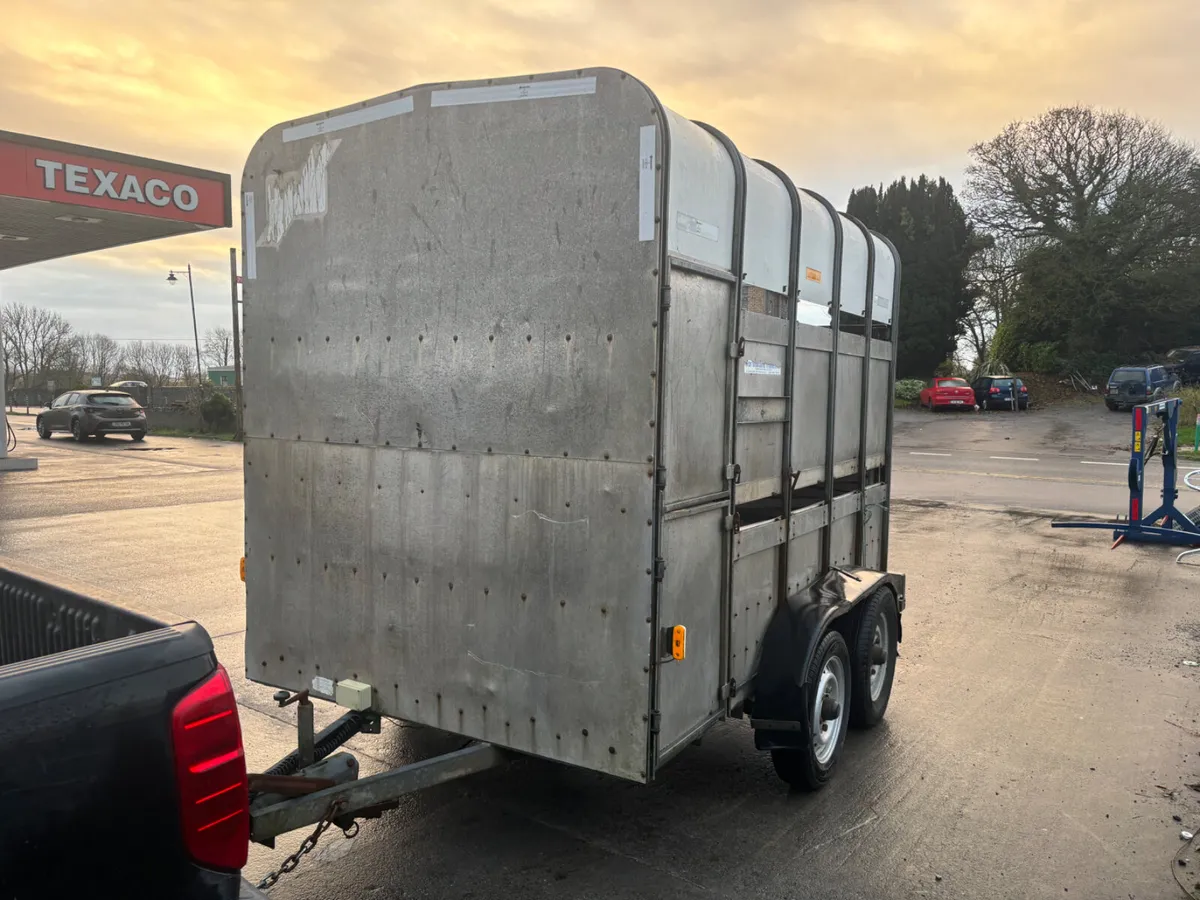 ifor williams ta510 10ft high roof - Image 4