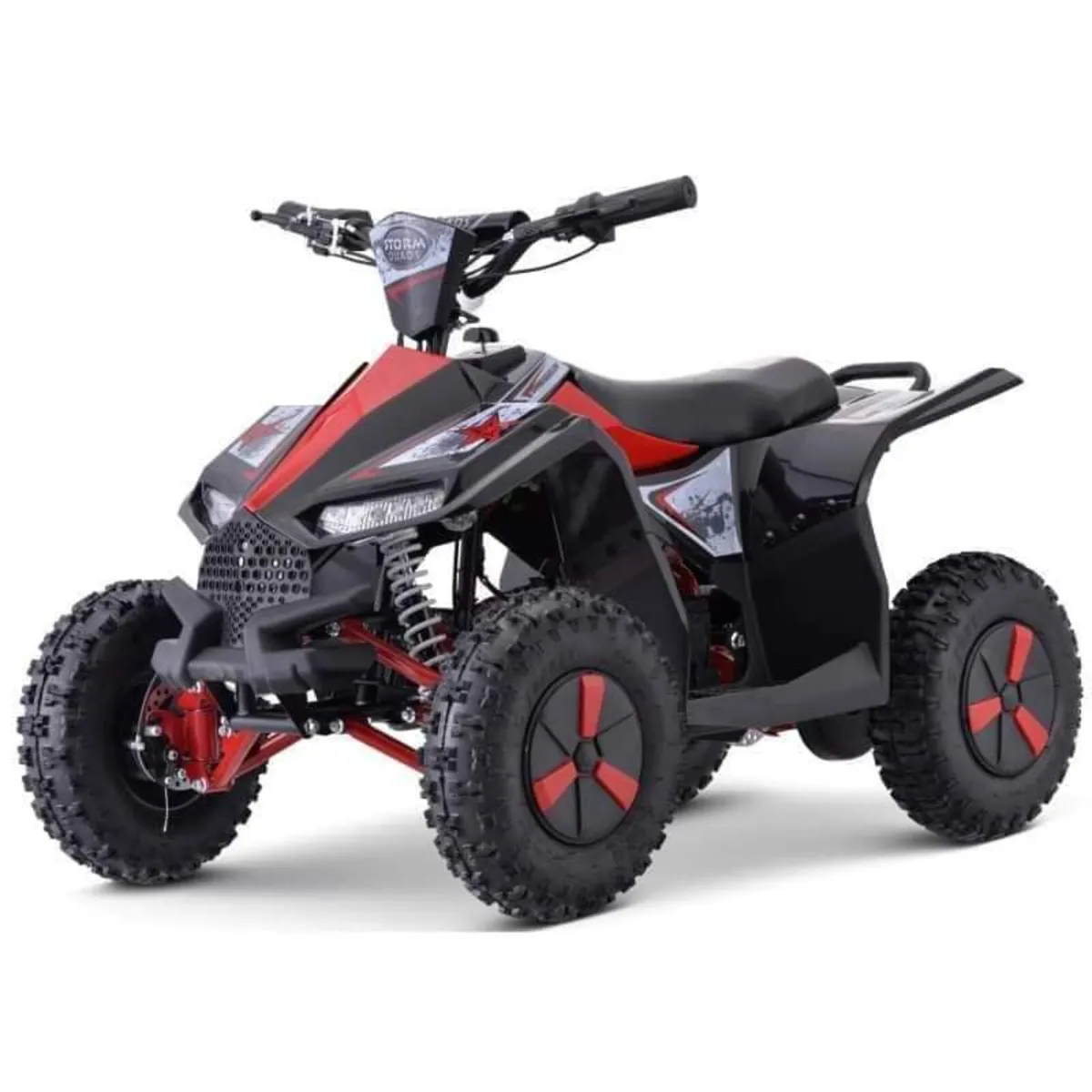 Renegade Kids Electric quad DELIVERY/PROFESSIONAL - Image 4