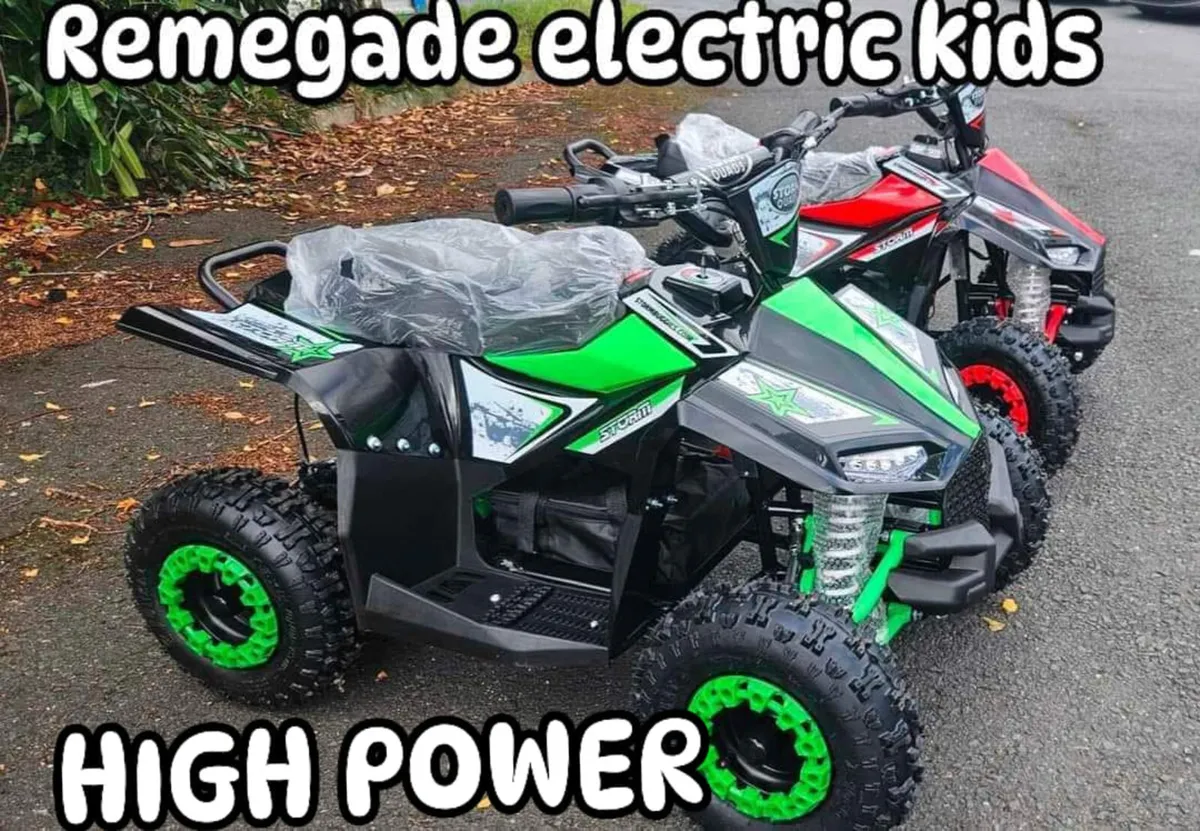Renegade Kids Electric quad DELIVERY/PROFESSIONAL - Image 1