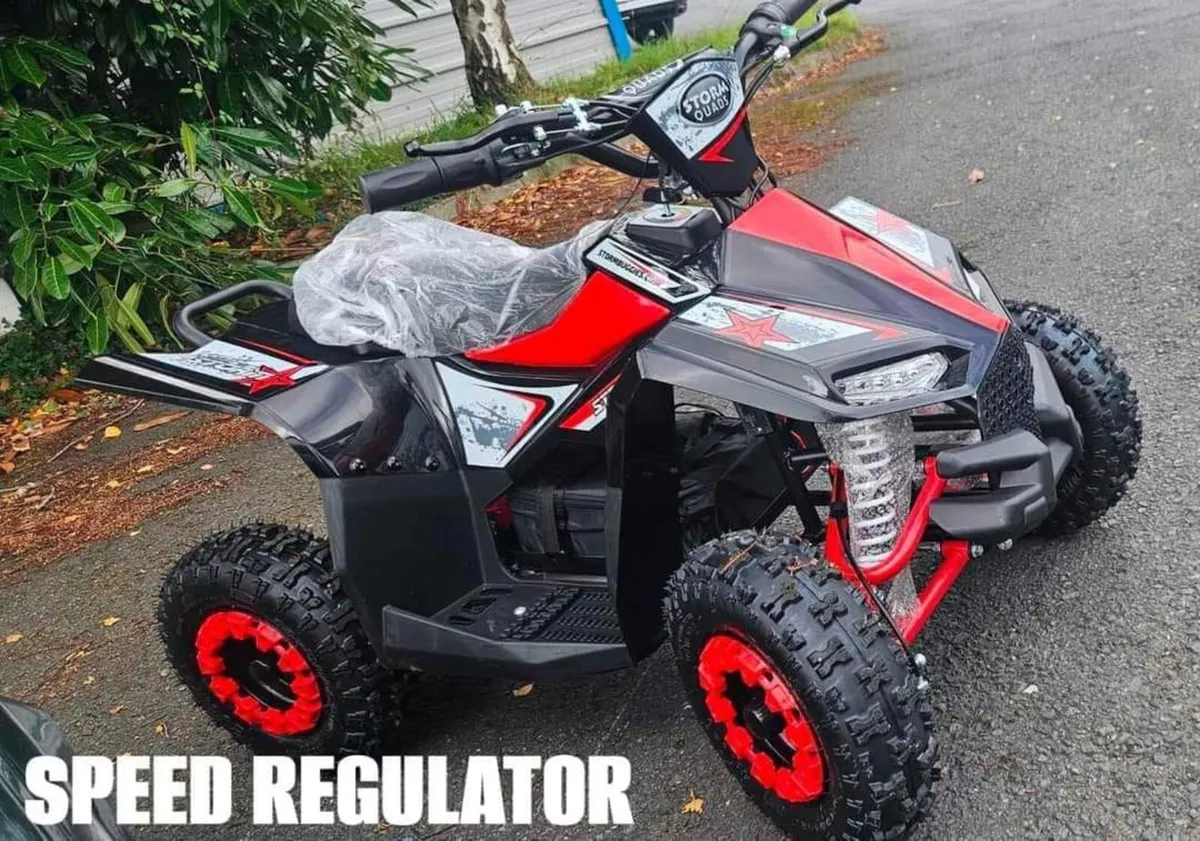 Renegade Kids Electric quad DELIVERY/PROFESSIONAL - Image 3