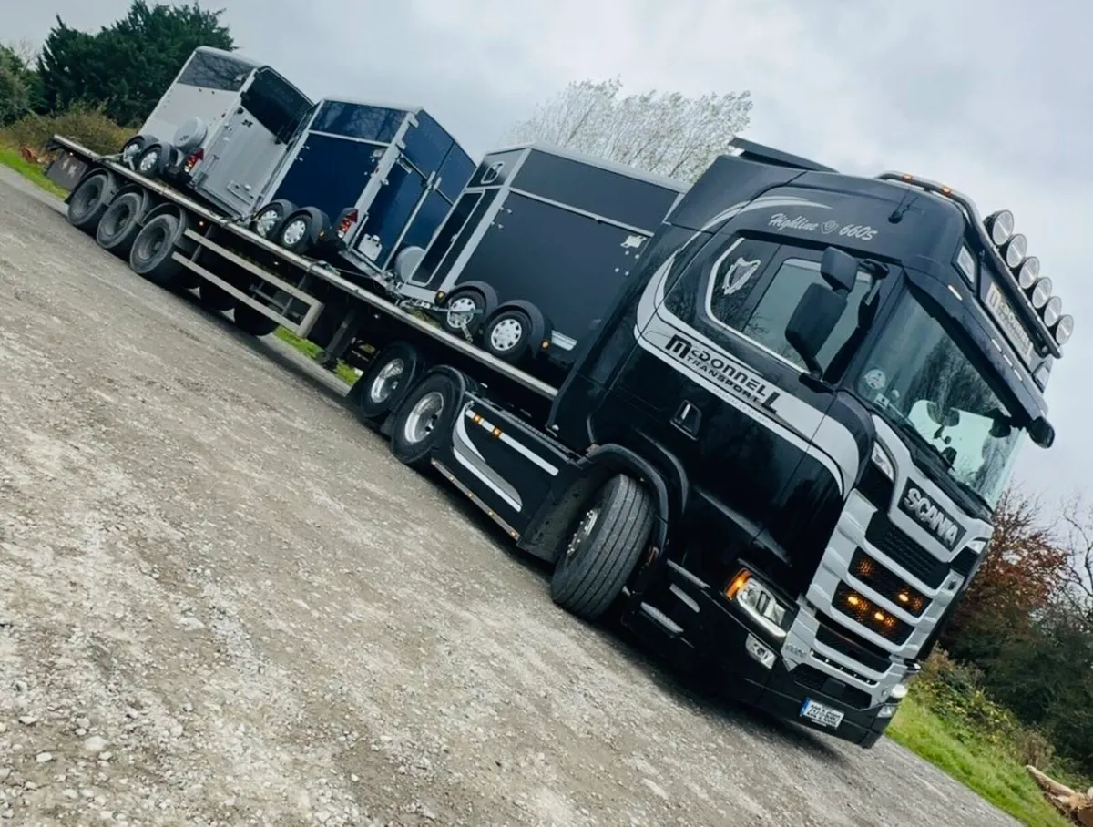 New Ifor Williams Horseboxes (finance available) - Image 2