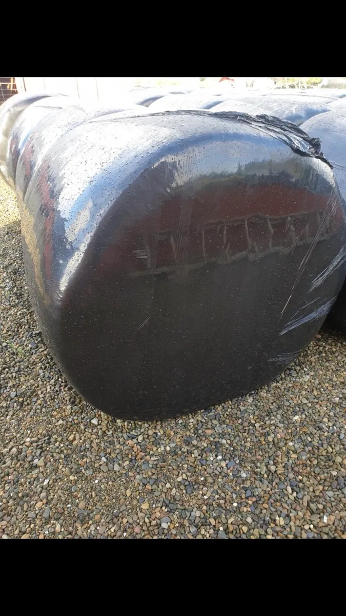 Bales of silage - Image 2