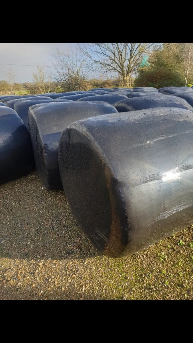 Bales of silage - Image 1