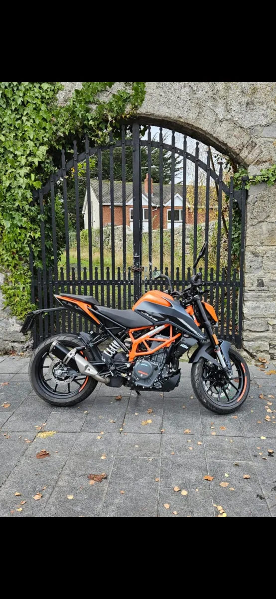 2024 KTM DUKE 390 MOTO4U - Image 1