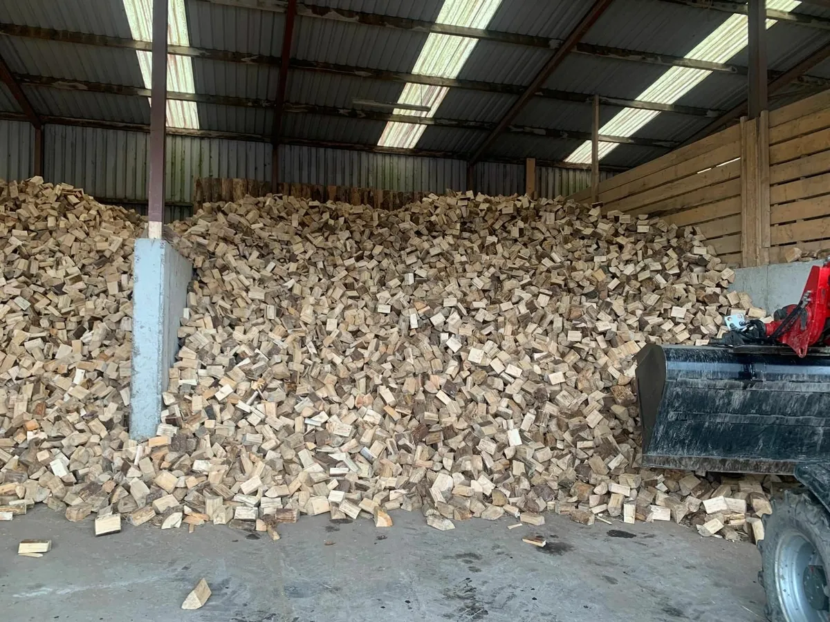 Firewood - Image 2