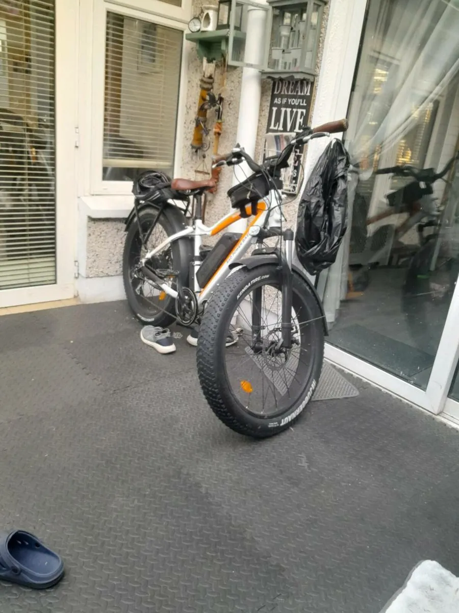 E bike - Image 2