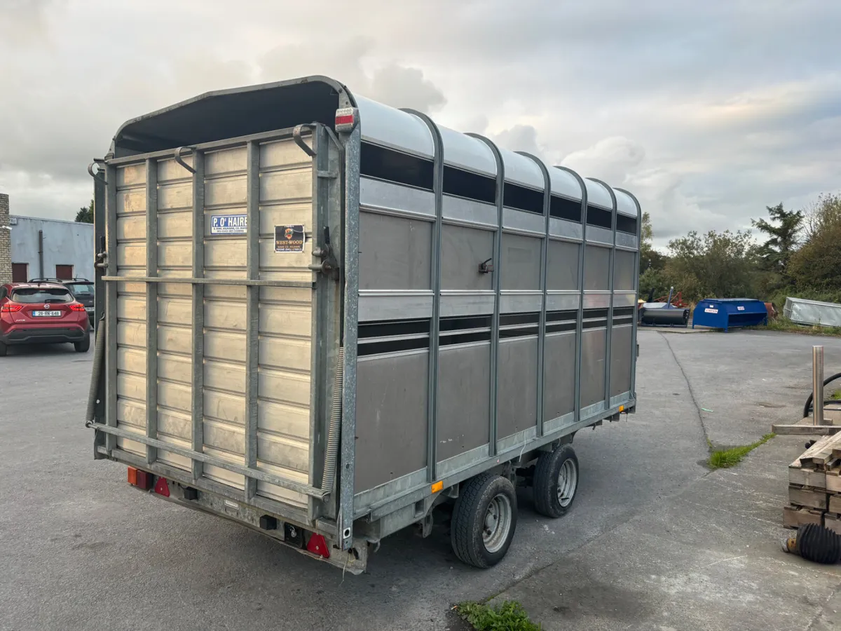 ifor williams dp120 12ft - Image 3