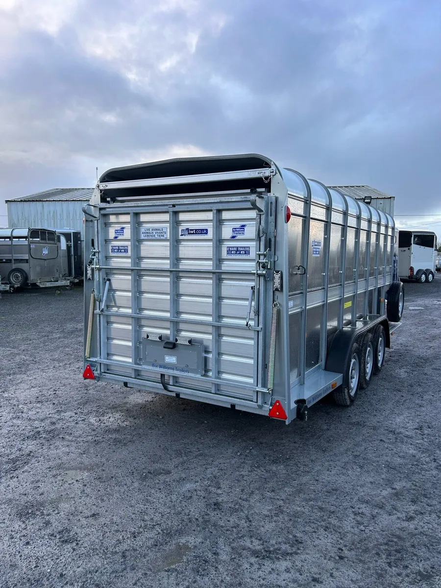 Ifor Williams 16ft - Image 2