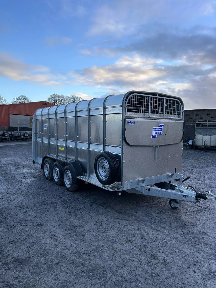 Ifor Williams 16ft - Image 4