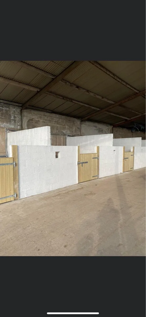 Livery available - Image 4