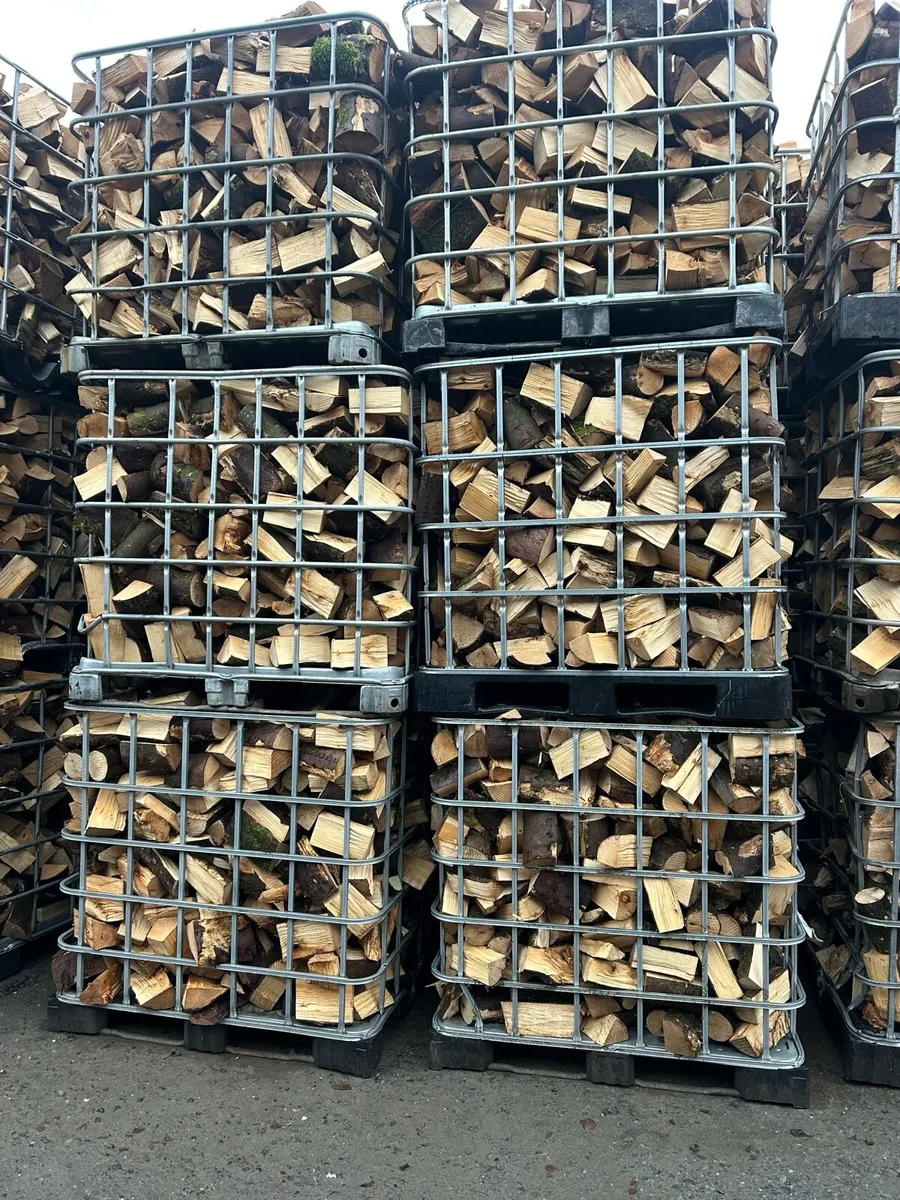 Firewood - Image 2